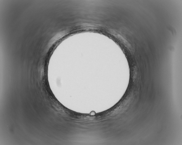 X0000111351261200908211227