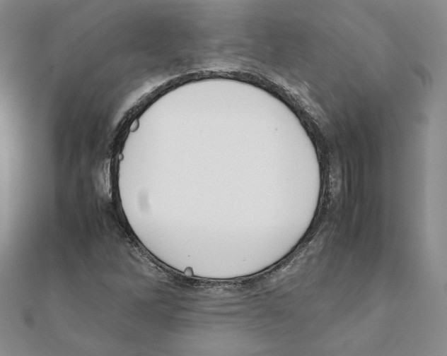 X0000111351262200908211227
