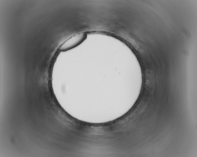 X0000111351264200908211227