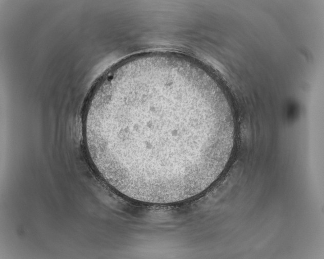 X0000111351267200908211227