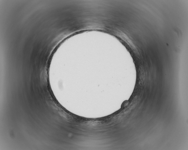 X0000111351268200908211227