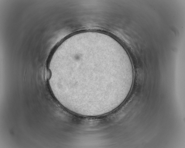 X0000111351269200908211227