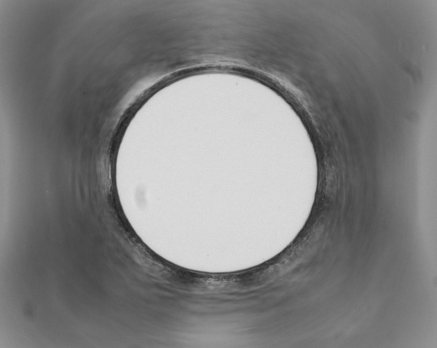 X0000111351271200908211227