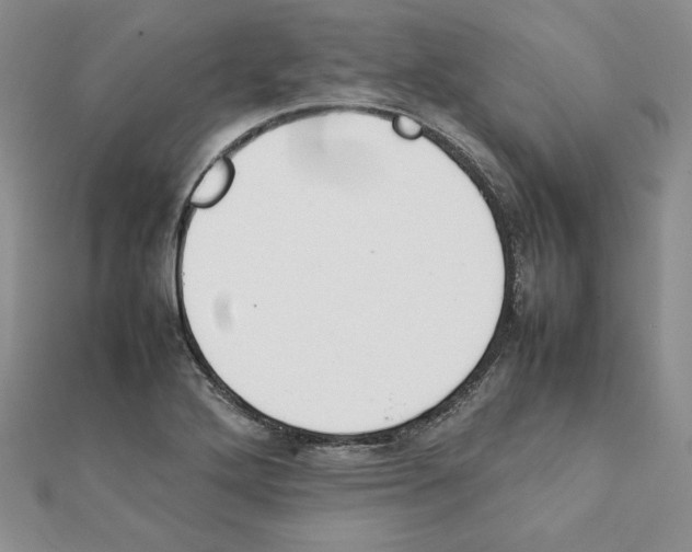 X0000111351272200908211227