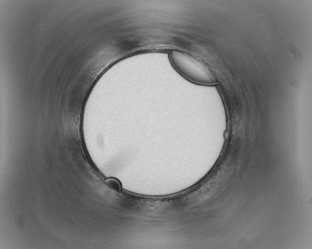 X0000111351273200908211227