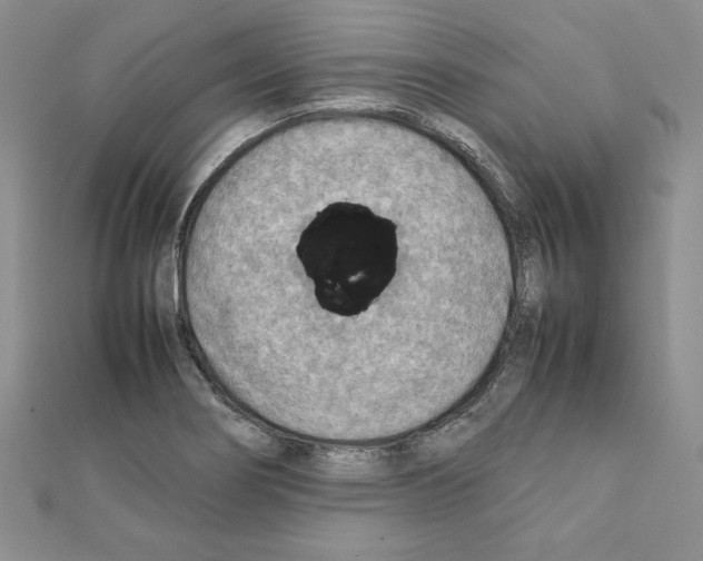 X0000111351274200908211227