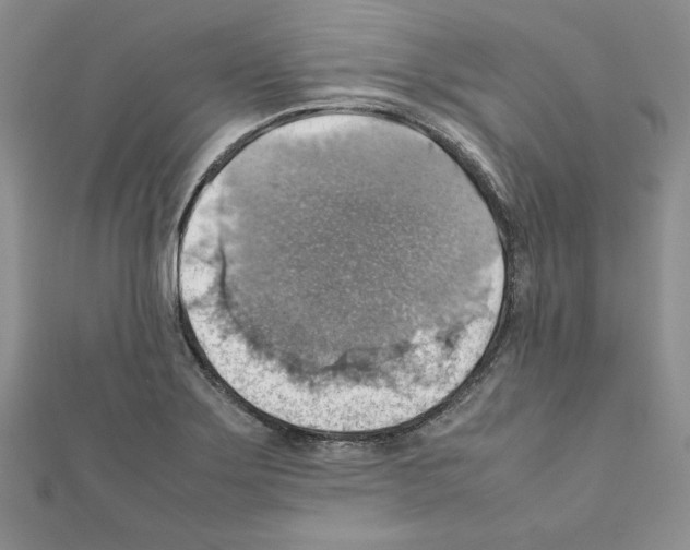 X0000111351275200908211227
