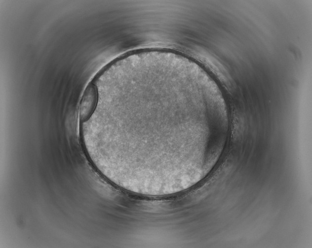 X0000111351276200908211227