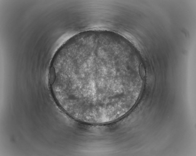 X0000111351277200908211226