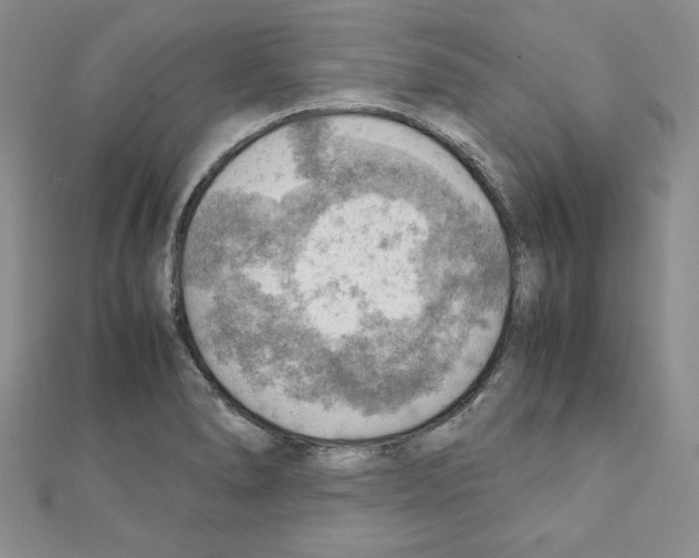 X0000111351278200908211226