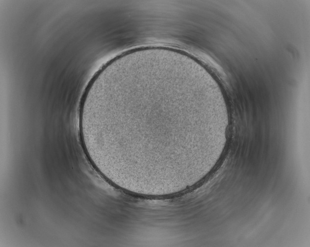 X0000111351280200908211226