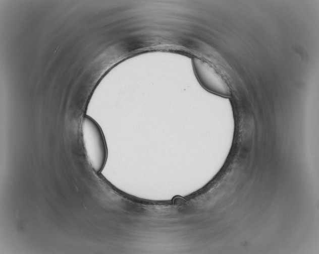 X0000111351281200908211226