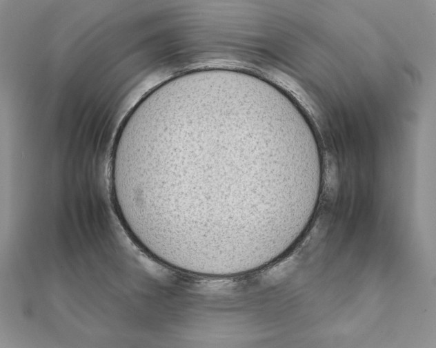 X0000111351282200908211226