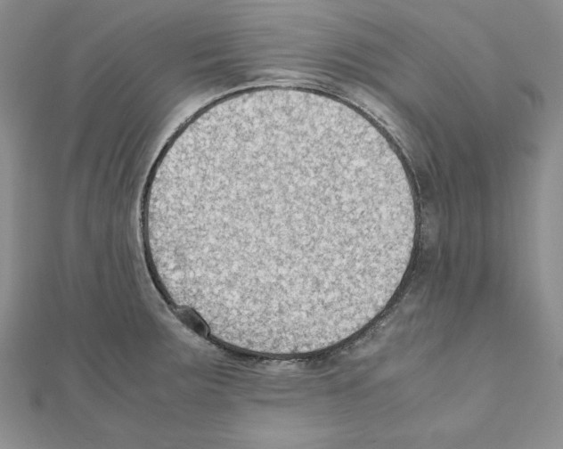 X0000111351283200908211226
