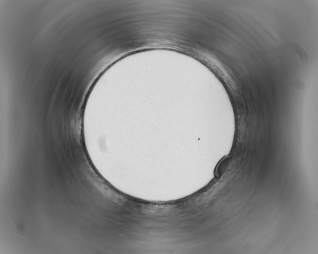 X0000111351284200908211226