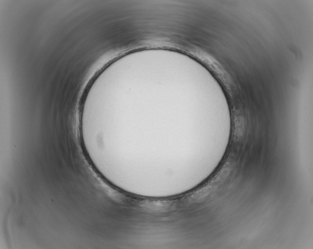 X0000111351286200908211226