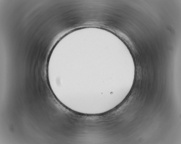 X0000111351288200908211226