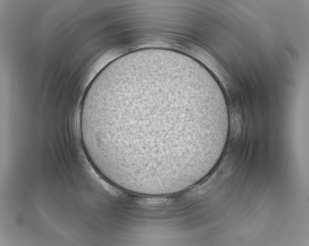 X0000111351290200908211226