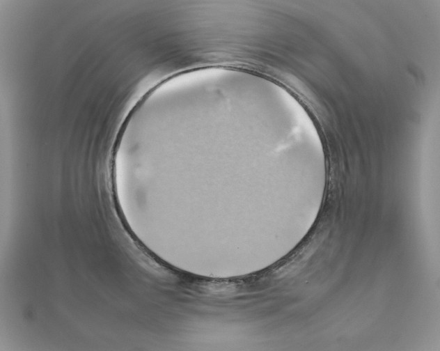 X0000111351291200908211226