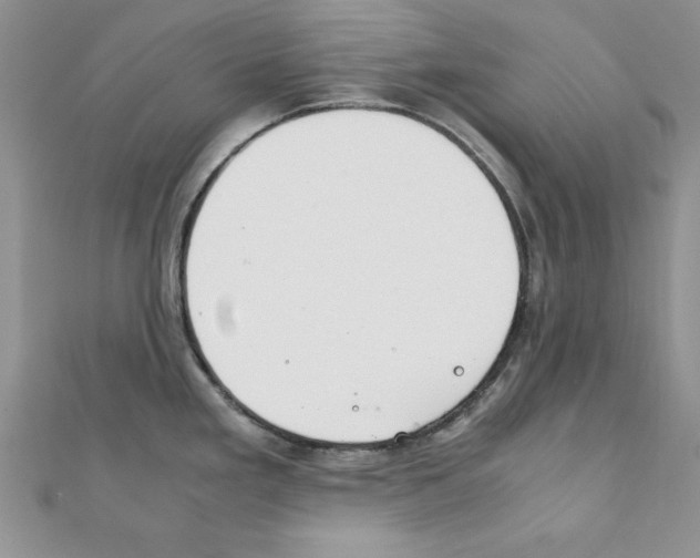 X0000111351293200908211226