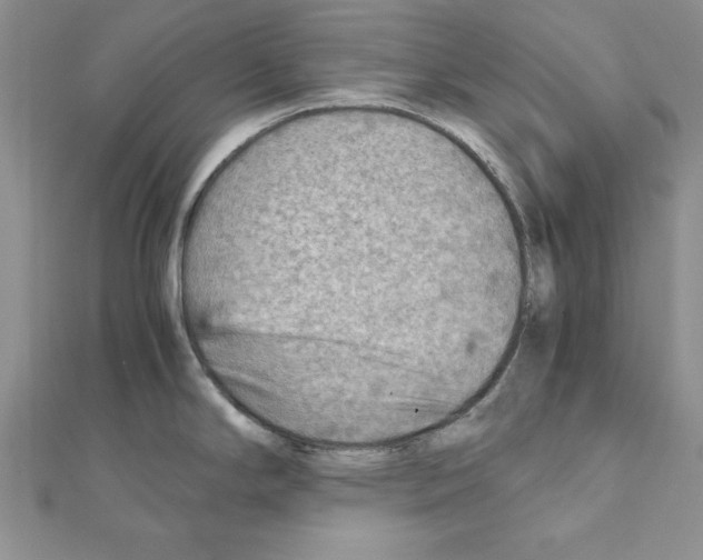 X0000111351294200908211226