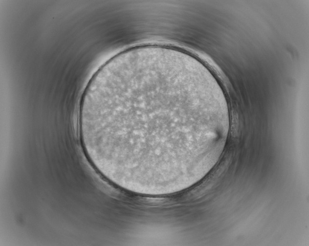 X0000111351295200908211226