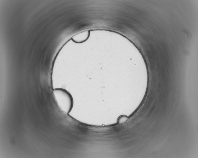 X0000111351296200908211226