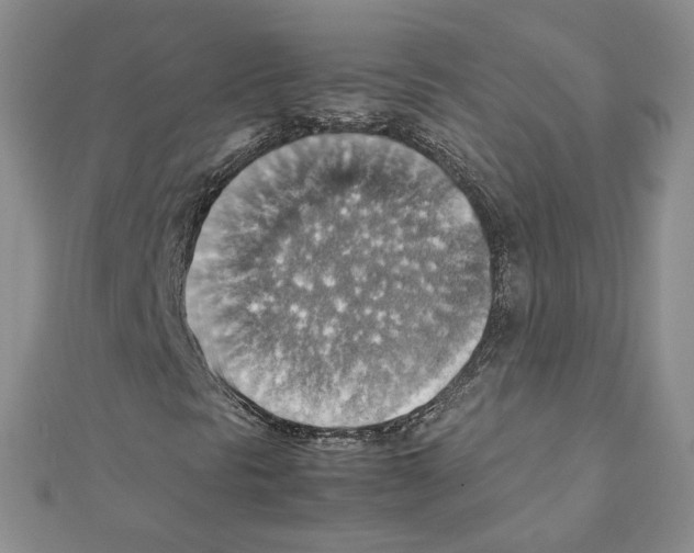 X0000111351297200908211226