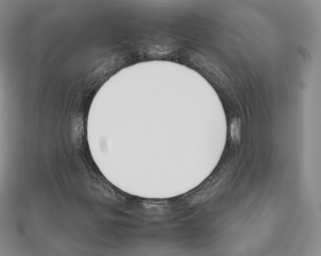X0000111351299200908211226
