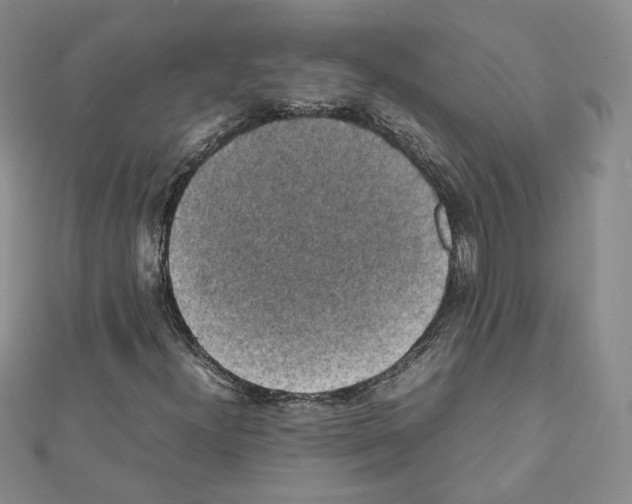 X0000111351300200908211226