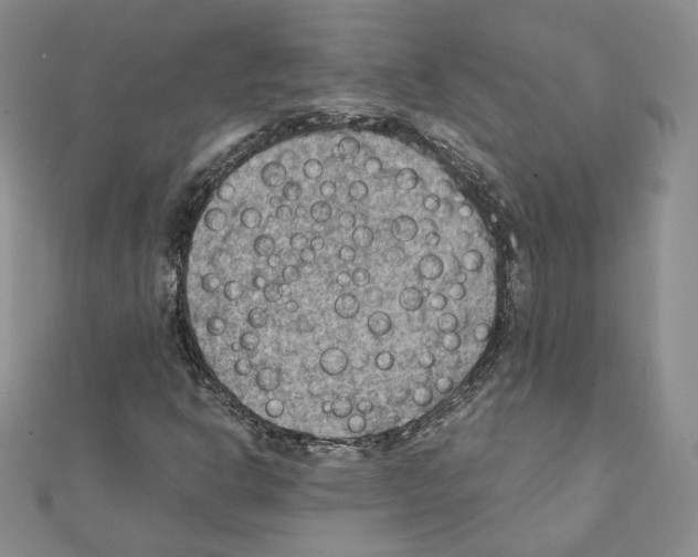X0000111351302200908211226