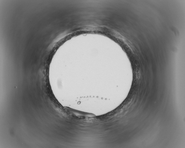 X0000111351304200908211226