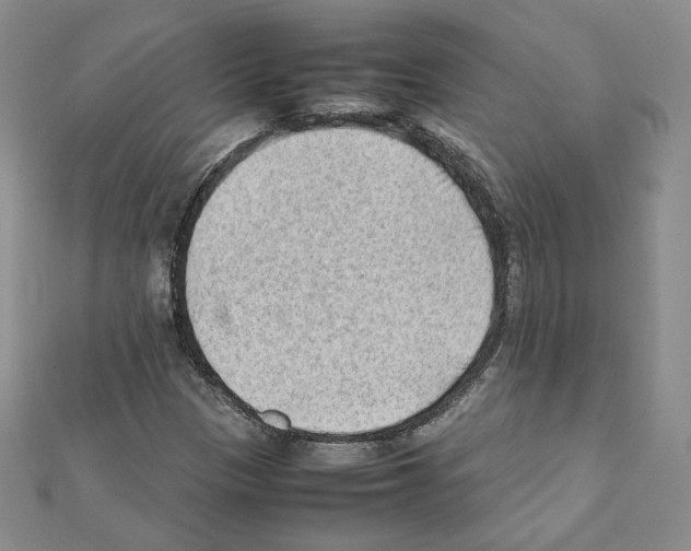 X0000111351305200908211226
