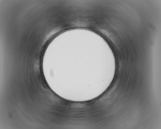 X0000111351307200908211226