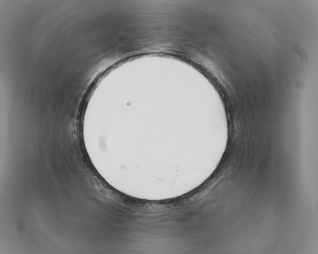 X0000111351308200908211226