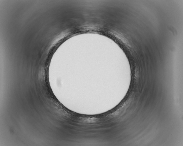 X0000111351309200908211226