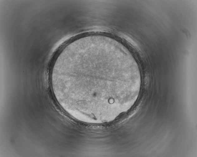 X0000111351310200908211226