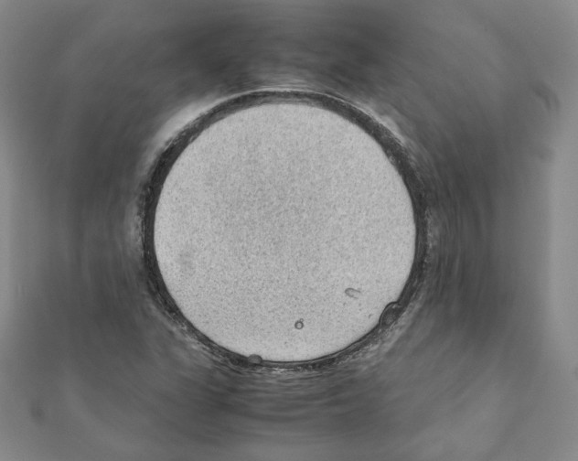 X0000111351311200908211226
