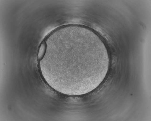 X0000111351312200908211226