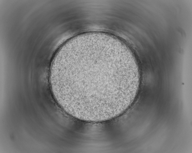 X0000111351314200908211226