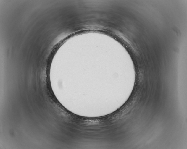 X0000111351315200908211226