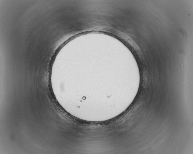 X0000111351316200908211226
