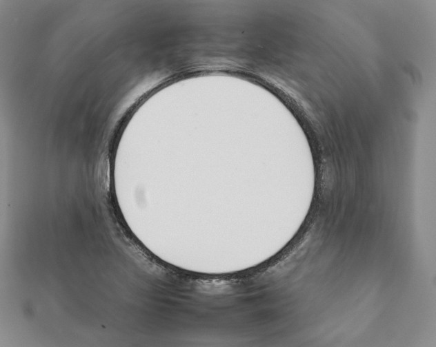 X0000111351317200908211226