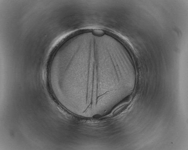 X0000111351319200908211226