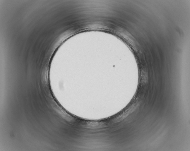 X0000111351322200908211226