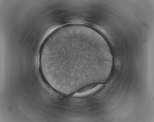 X0000111351323200908211226