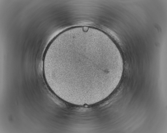 X0000111351324200908211226