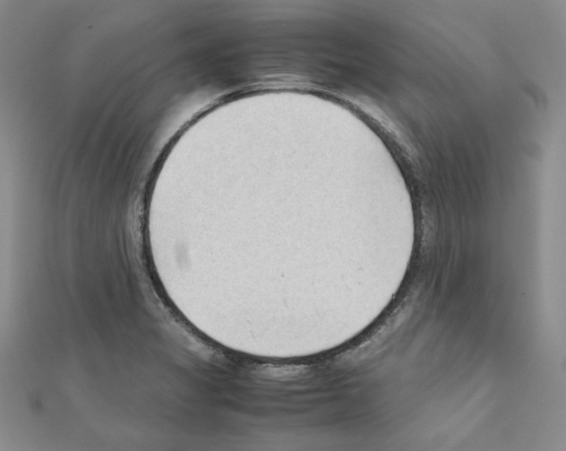 X0000111351325200908211226