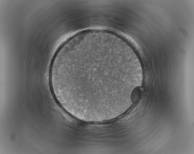 X0000111351327200908211226