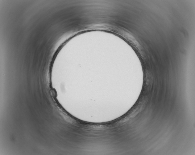 X0000111351328200908211226